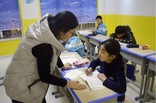 课后延时与校外托管 同源不同命的服务分野